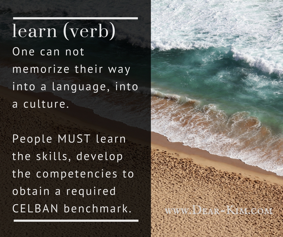One can not memorize their way into a language, into a culture.People MUST learn the skills, develop the competencies to obtain a required benchmark.
